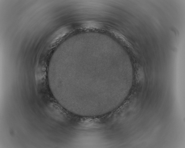 X0000114210824200911061443