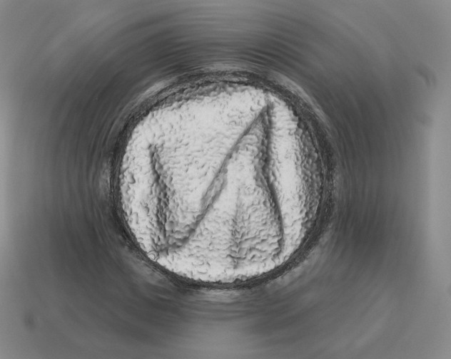 X0000114210825200911061443