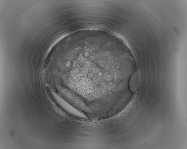 X0000114210827200911061443