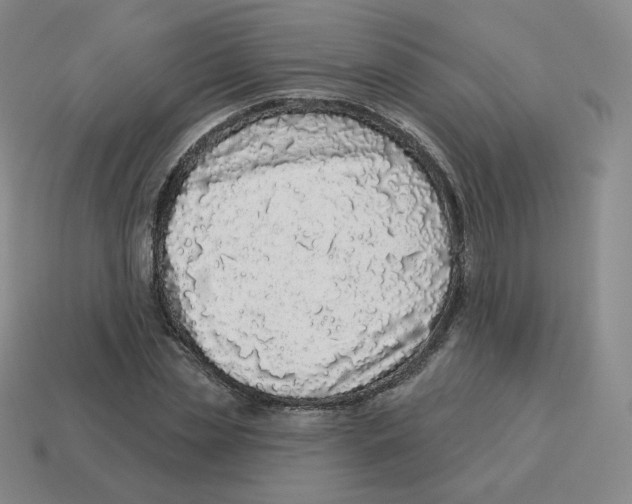 X0000114210829200911061443