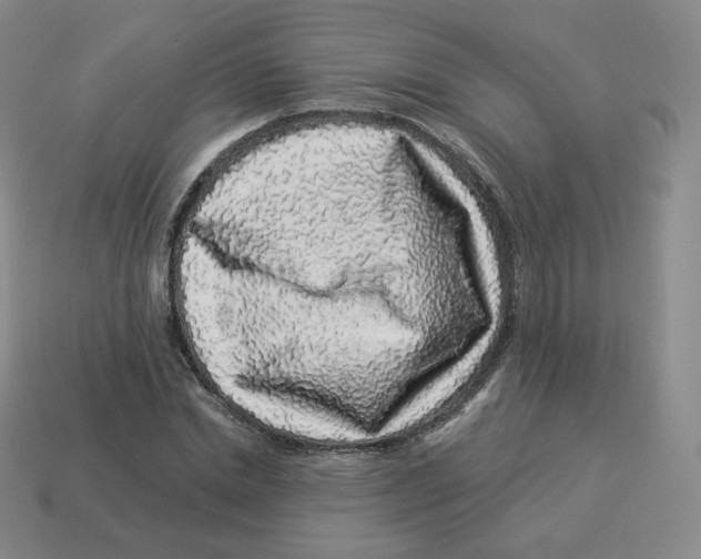 X0000114210830200911061443