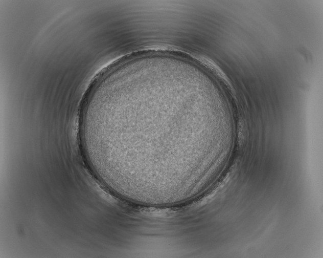 X0000114210831200911061443