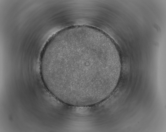 X0000114210832200911061443