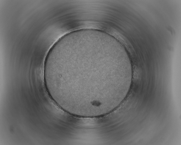 X0000114210836200911061443