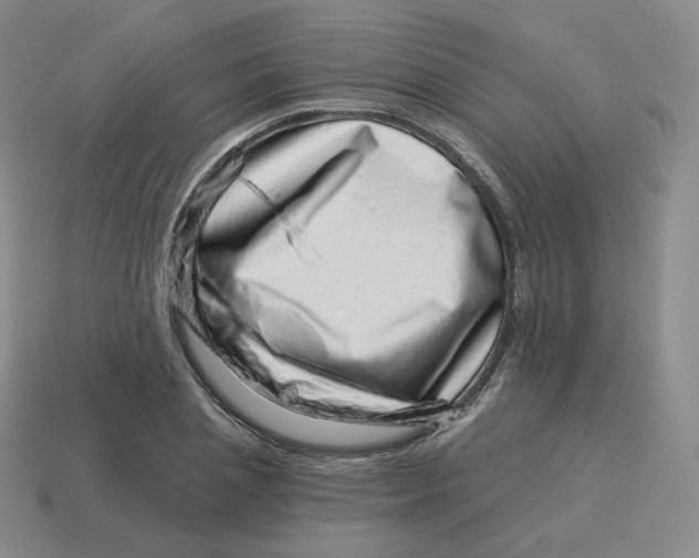 X0000114210837200911061443