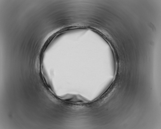 X0000114210838200911061444