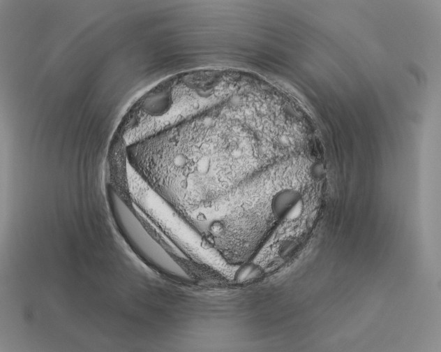 X0000114210839200911061444