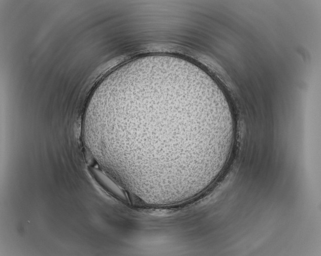 X0000114210841200911061444