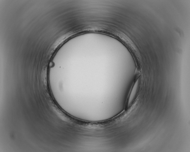 X0000114210842200911061444