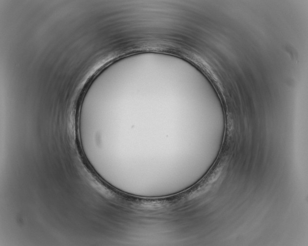 X0000114210843200911061444