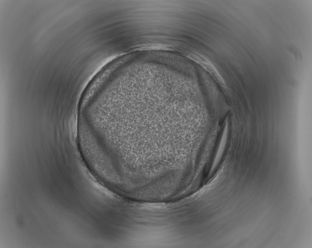 X0000114210844200911061444