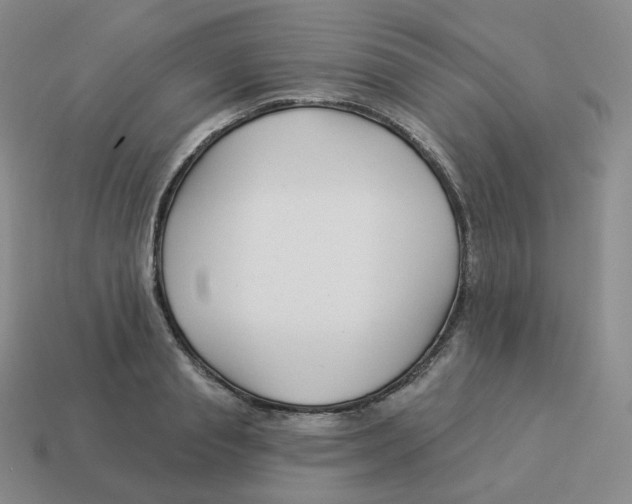 X0000114210845200911061444