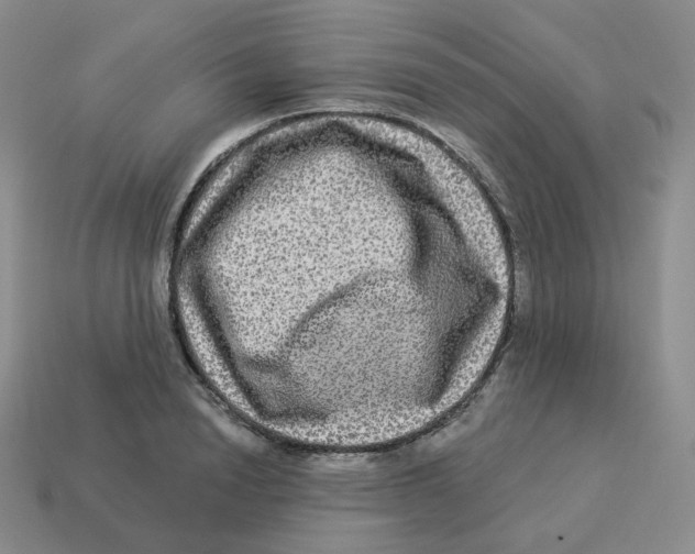 X0000114210846200911061444