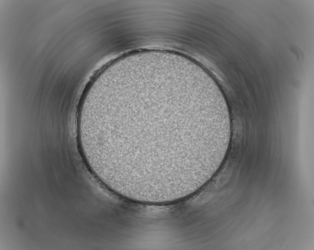 X0000114210848200911061444