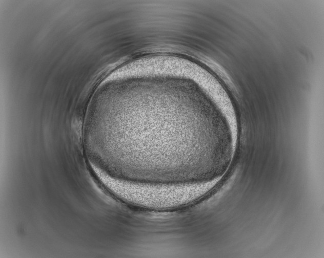 X0000114210849200911061444