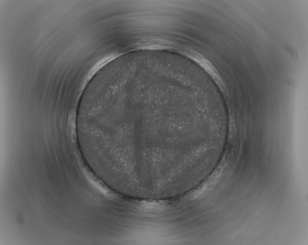 X0000114210850200911061444