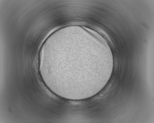 X0000114210852200911061444