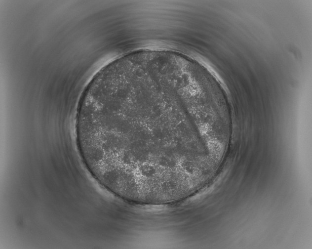 X0000114210853200911061444