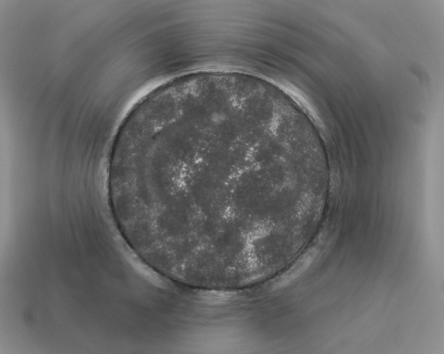 X0000114210854200911061444