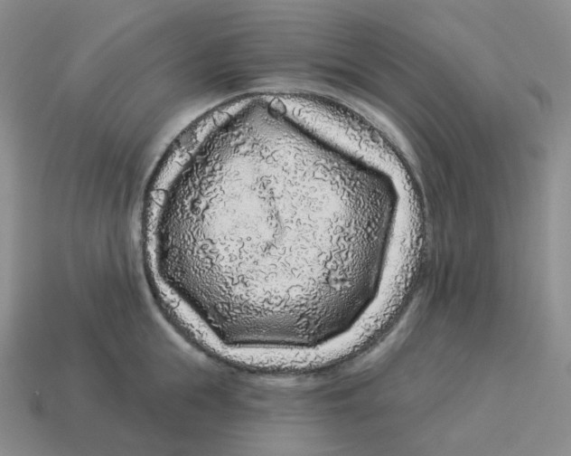 X0000114210855200911061444