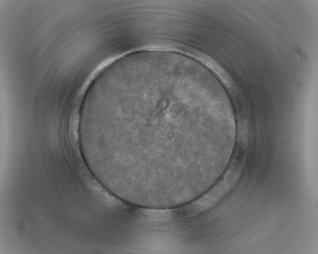 X0000114210856200911061444