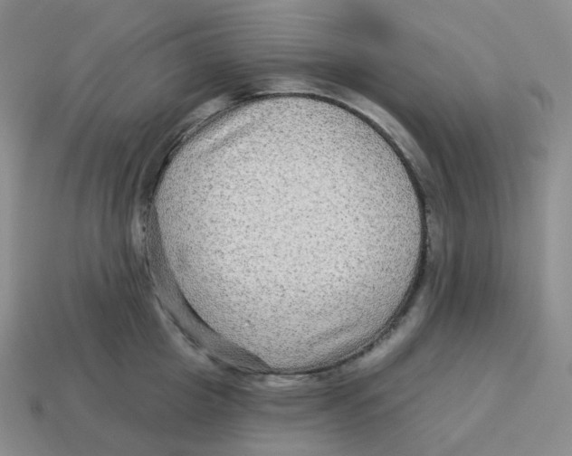 X0000114210857200911061444