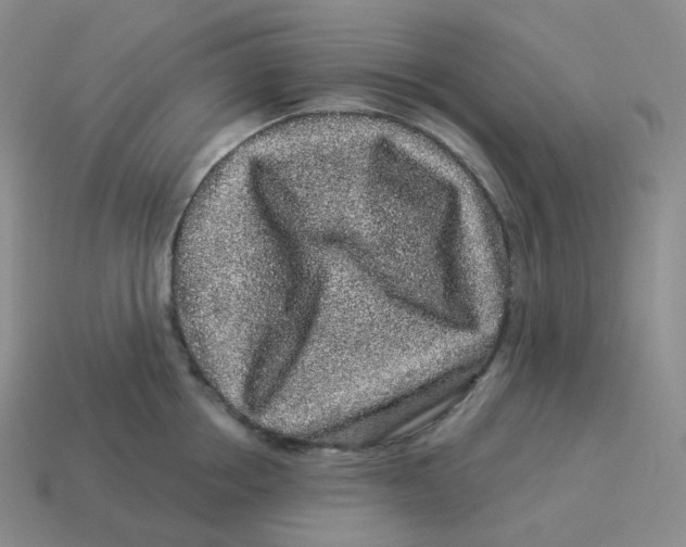 X0000114210858200911061444