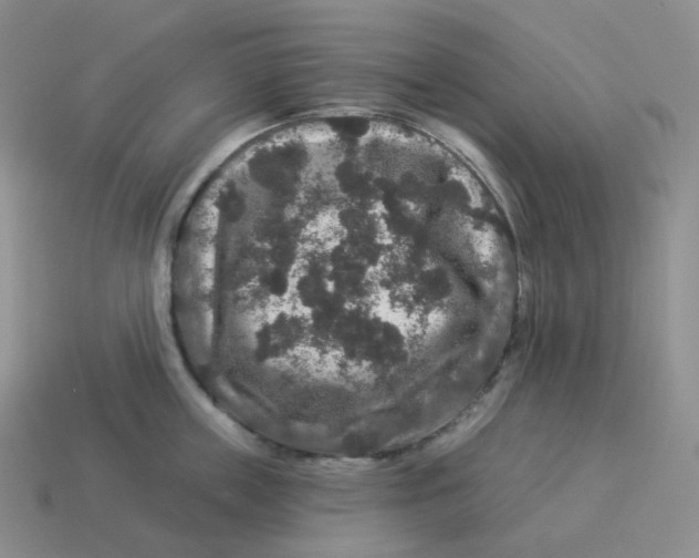 X0000114210859200911061444