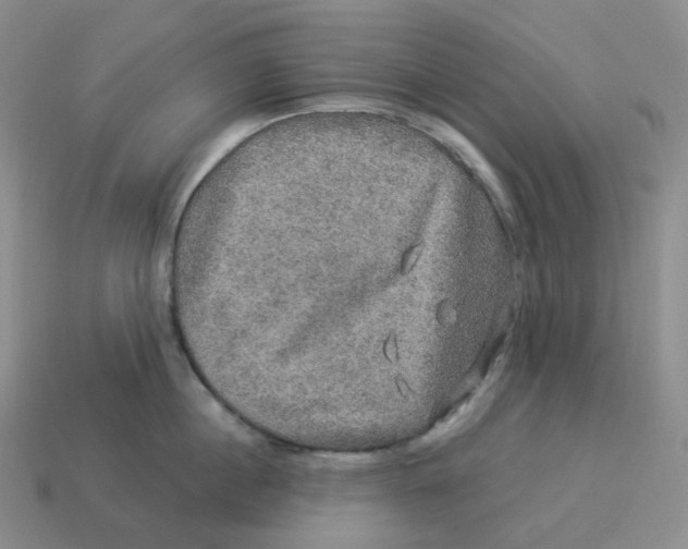 X0000114210860200911061444