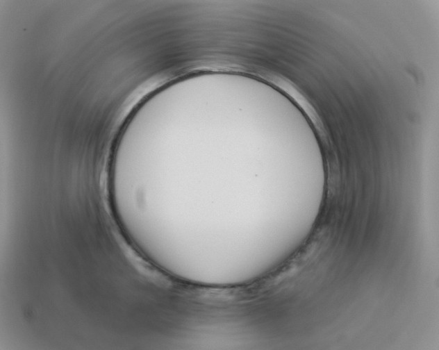 X0000114210861200911061444