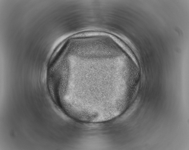 X0000114210862200911061444