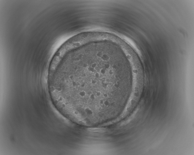 X0000114210863200911061444