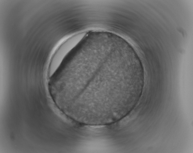 X0000114210864200911061444