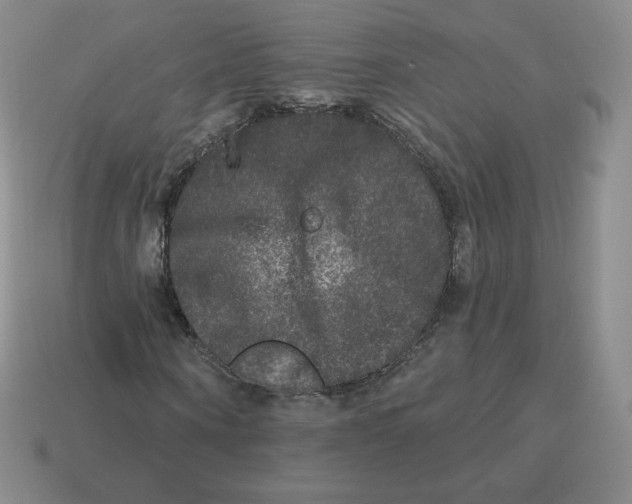 X0000114210866200911061443