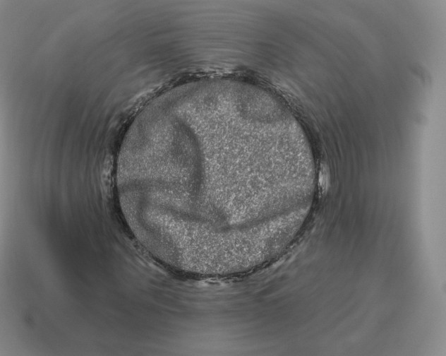 X0000114210867200911061443