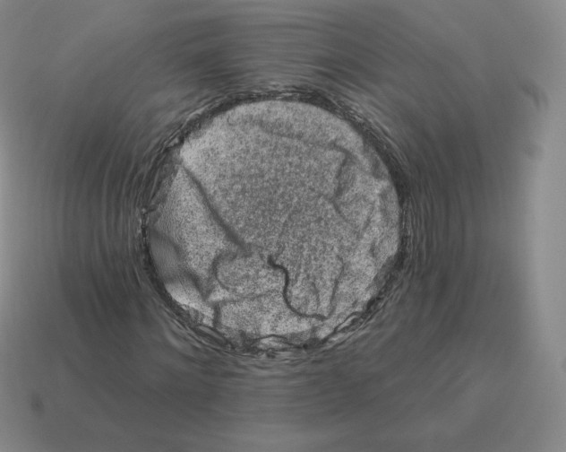 X0000114210868200911061443