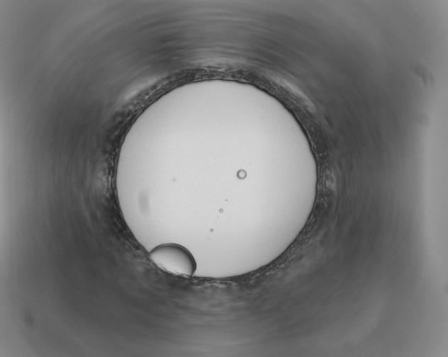 X0000114210869200911061443