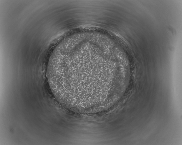 X0000114210870200911061443