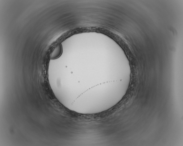 X0000114210871200911061443