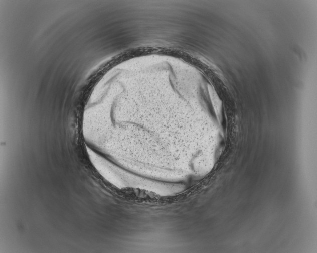 X0000114210872200911061443