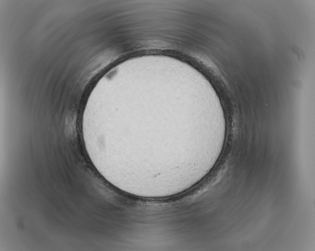 X0000114210873200911061443