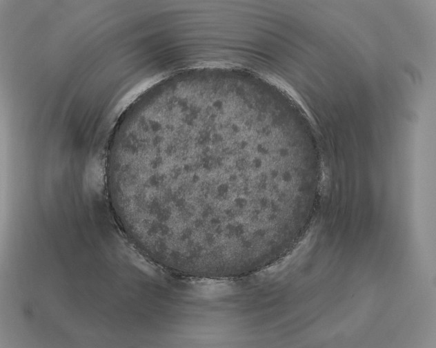 X0000114210874200911061443