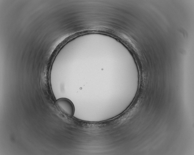 X0000114210875200911061443