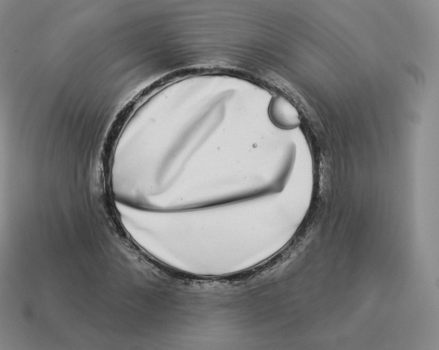 X0000114210876200911061443