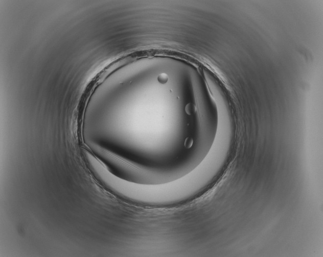 X0000114210877200911061443