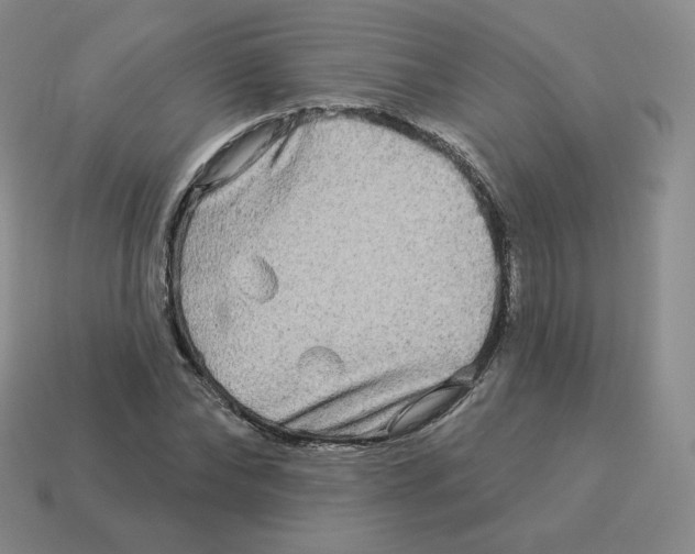 X0000114210878200911061443