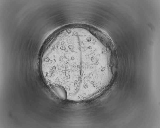 X0000114210879200911061443