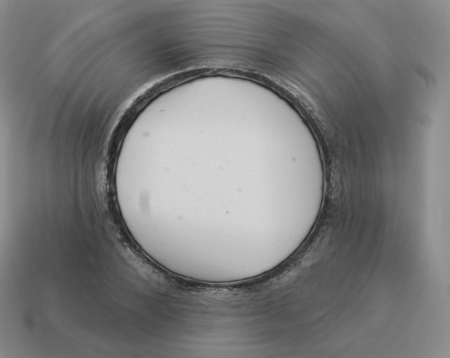 X0000114210880200911061443