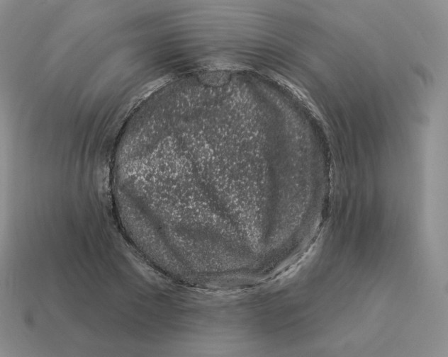 X0000114210881200911061443