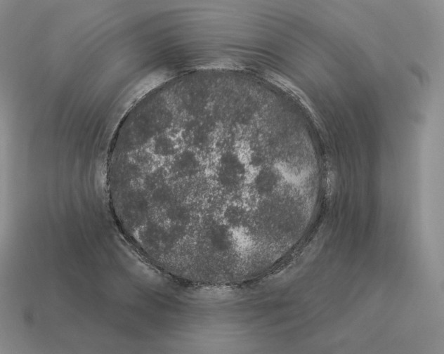 X0000114210882200911061443